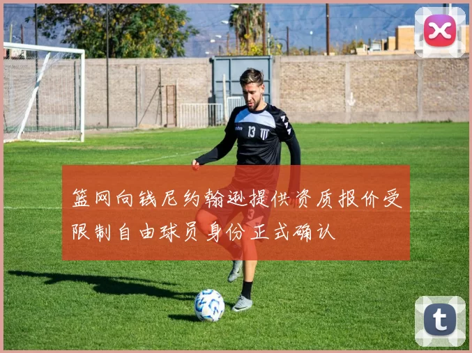 篮网向钱尼约翰逊提供资质报价受限制自由球员身份正式确认