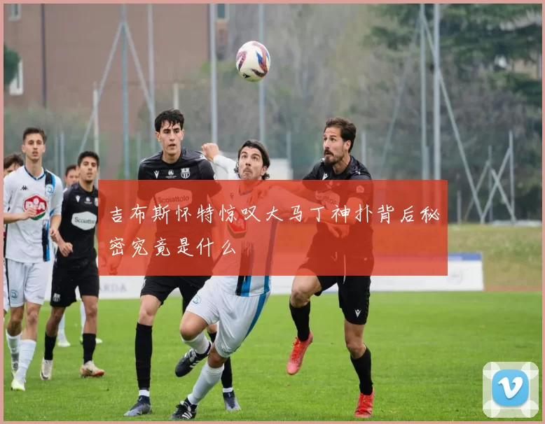 吉布斯怀特惊叹大马丁神扑背后秘密究竟是什么