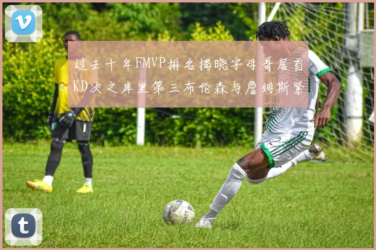 过去十年FMVP排名揭晓字母哥居首KD次之库里第三布伦森与詹姆斯紧随其后
