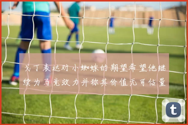 戈丁表达对小蜘蛛的期望希望他继续为马竞效力并称其价值无可估量